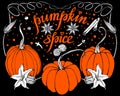 Hand drawn vector of pumpkin spice Royalty Free Stock Photo